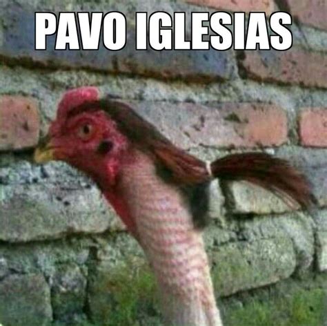 memes del pavo|GIFs de Pavo .